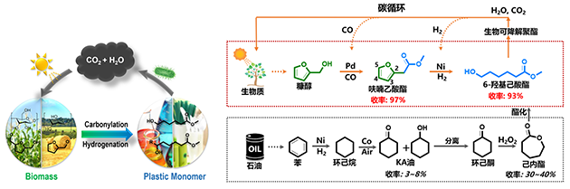 圖1.基于生物質(zhì)資源的羥基羧酸酯合成路線