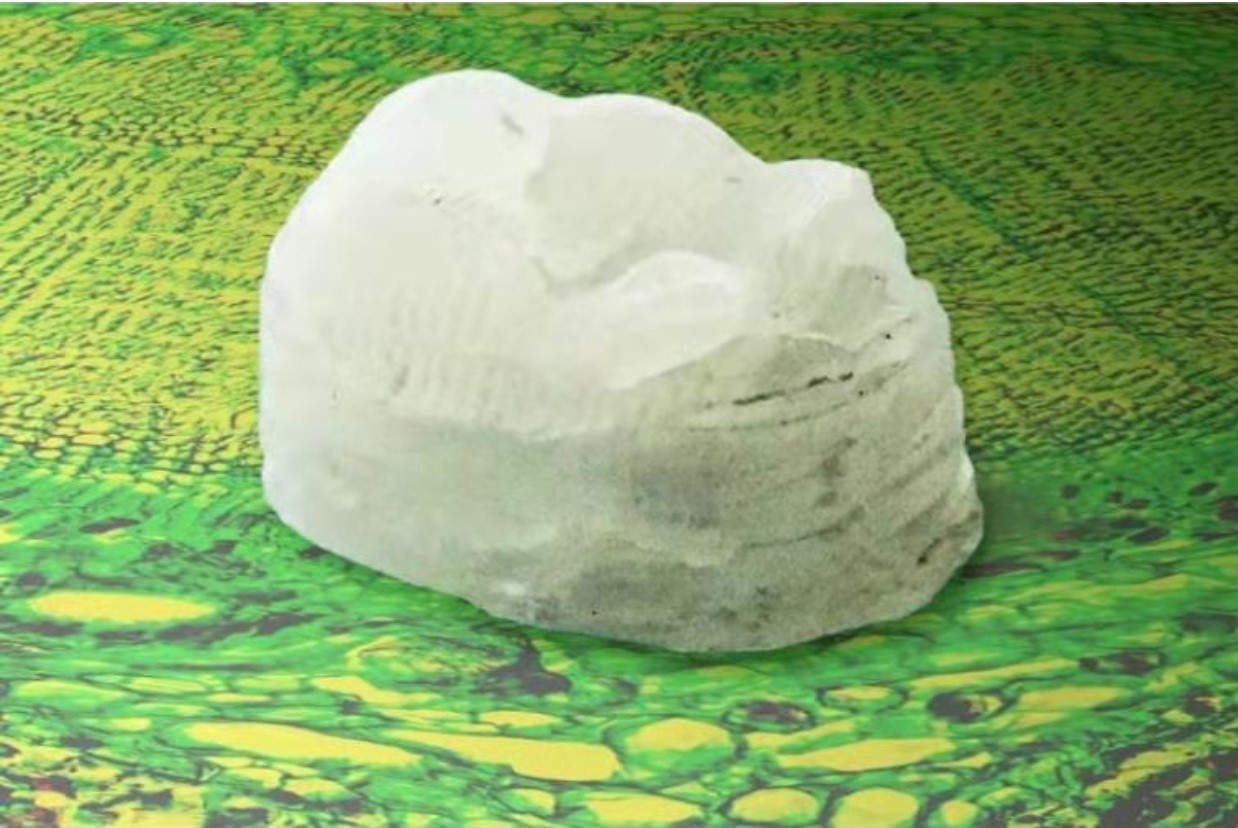 照片顯示的是研究小組用木細胞壁打印的一顆牙齒
