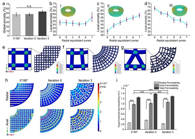 圖3 擠出式3D打印仿生支架的孔隙結(jié)構(gòu)、力學(xué)性能和滲透性能