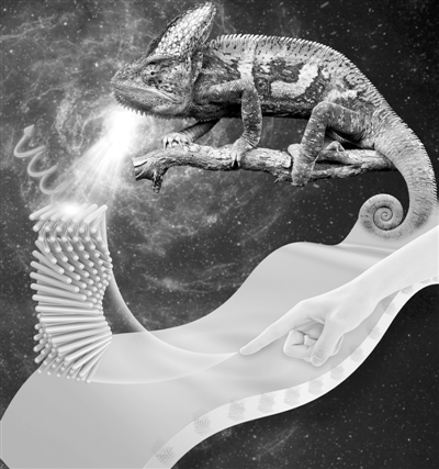 智能液晶高分子薄膜會變色.jpg